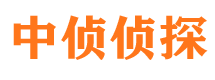 宁强市侦探公司